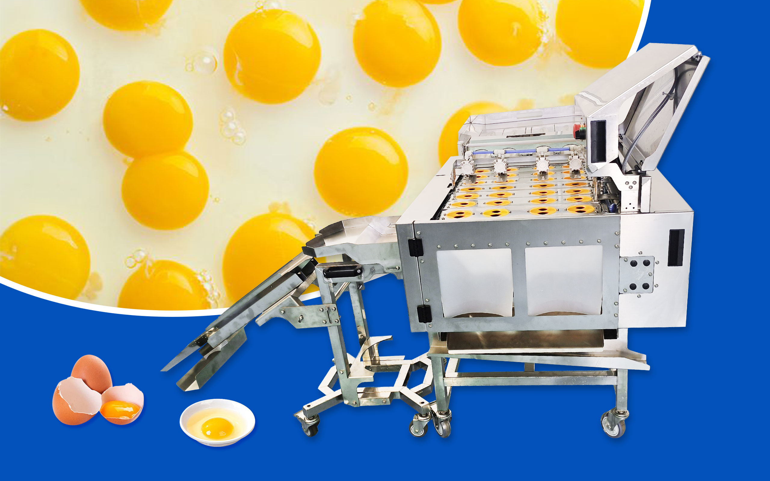 Ultimi blog aziendali su Come separare rapidamente una grande quantità di liquido di guscio d'uovo