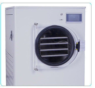 comprare 6 kg 8 kg 10 kg 12 kg 20 kg per lotto Medio Mini Freeze Dryer Asciugatrice con pompa senza olio fabbricazione online