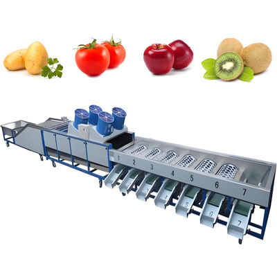 comprare Lavatrice di frutta e verdura di produzione automatica fabbricazione online