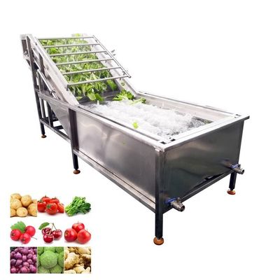 Lavaggio multifunzionale dello zenzero Doppia bolla di acqua Spinaci Lavaggio industriale di frutta Sistema di ozono