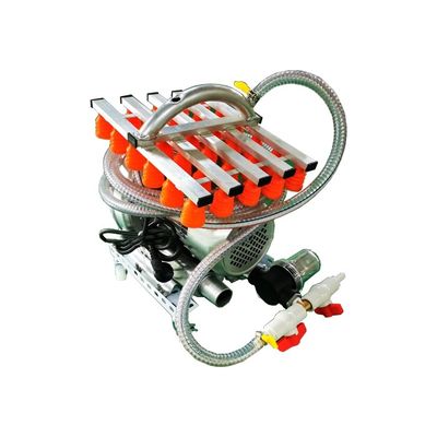 Capacità personalizzabile Vacuum Egg Lifter 30 uova/batch 304 in acciaio inossidabile