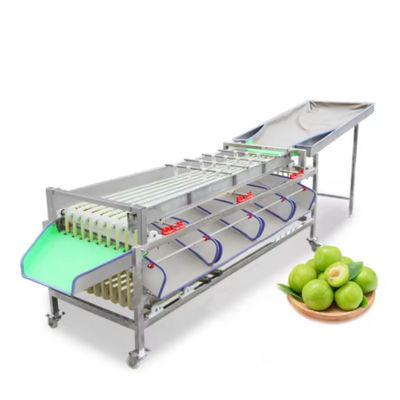Gli alberghi beneficiano della selezione del peso della frutta e della classificazione automatica delle dimensioni della frutta per la macchina di lavorazione della frutta e della verdura